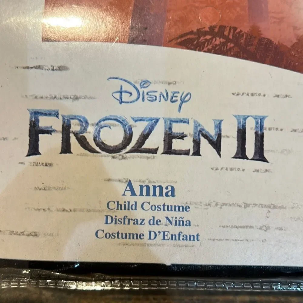 Disney Anna Frozen II  Halloween Costume 4-6 NWT - Picture 4 of 7